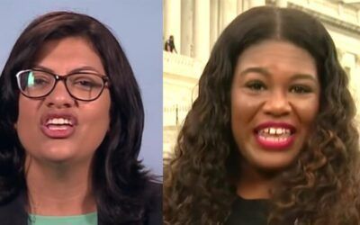 ‘Squad’ member claims calling out Rashida Tlaib’s anti-Semitism puts her life in danger