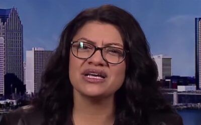 Rashida Tlaib’s anti-Semitism strikes a nerve with Michigan Dems exhausted over her antics