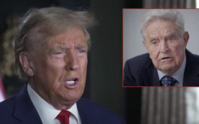Soros-backed Haitian group wants Trump arrested over pet-eating statements