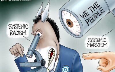 BS daily political cartoons: We the People