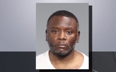 Man who allegedly stabbed tourists while shouting he wanted ‘white people’ dead was released by judge just weeks prior