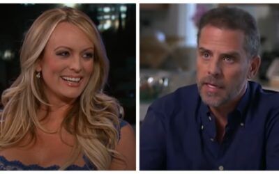 Stormy Daniels says Hunter Biden looks ‘fun’ to party with, drops hints about invite to White House