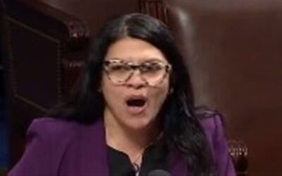 House floor brawl: GOP lawmaker triggers Tlaib with ‘hanging out’ with Hezbollah accusation