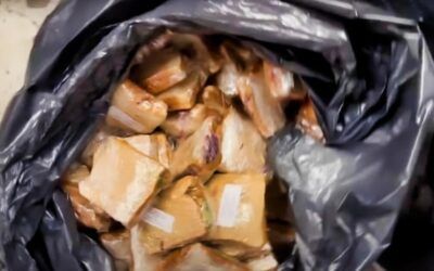 Tens of thousands of uneaten taxpayer-funded migrant meals being ‘trashed’ in NYC: report