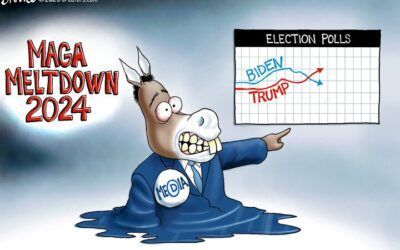 BS daily political cartoons: MAGA MELTDOWN 2024