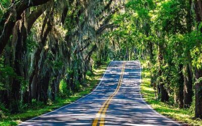 The South is rising: Dixie states are growing while the Northeast shrinks