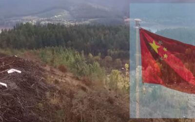 EXCLUSIVE: GOP Rep urges Biden admin to review Chinese Communist Party member’s US land purchase