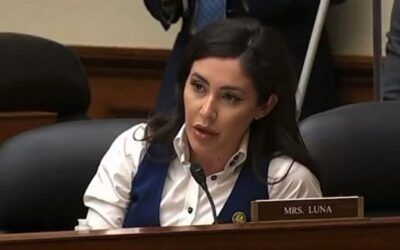 ‘Why are you laughing?’: GOP rep spars with immigration witness over whether fraudulent migrant families cross border
