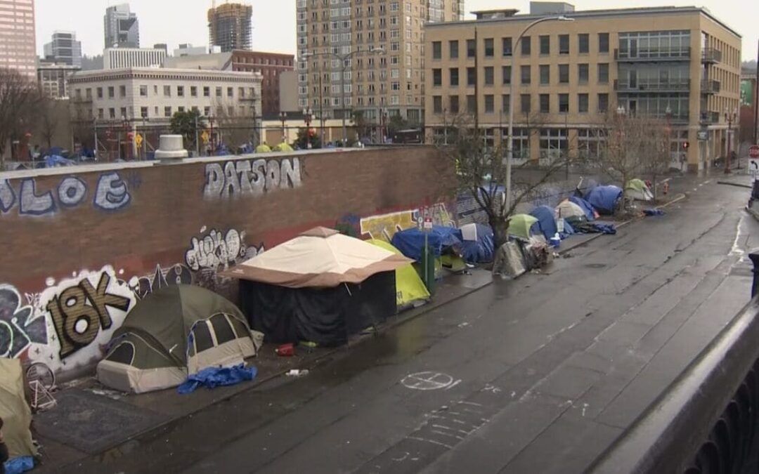 Biden admin partially blames immigration surge for massive spike in homelessness
