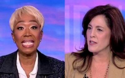 ‘Moms for Liberty’ co-founder dismantles Joy Reid on her own show