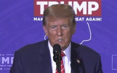 Trump touts victory as primary steamroll continues