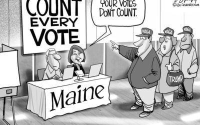 BS daily political cartoons: Your votes don’t count