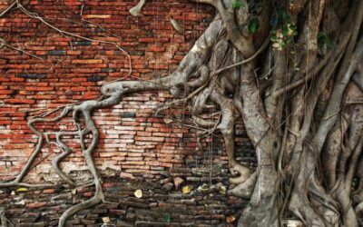 ‘Utterly fascist’: NYT columnist wants to build a ‘wall of shame’ in D.C. for climate skeptics