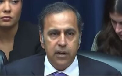 Top Democrat on House China committee denies that his party is specifically targeted by Chinese agents