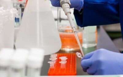 Trump calls on Alabama lawmakers to preserve in vitro fertilization