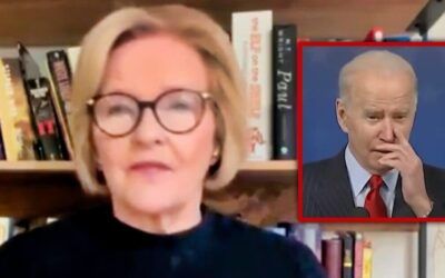 Dem declared ‘unhinged and deranged lunatic’ for suggesting press should stop fact-checking Biden