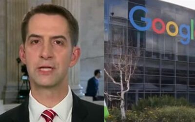 Sen. Cotton takes flamethrower to ‘racist, preposterously woke, Hamas-sympathizing’ Google AI