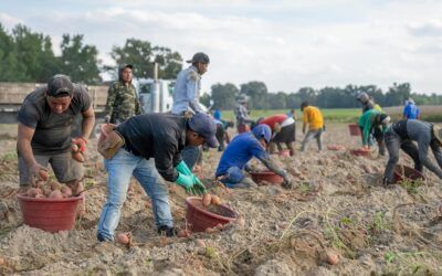 Companies increasingly turning to cheap foreign labor as rising costs take their toll
