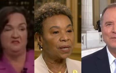 Democrats spent tens of millions on deep blue senate race