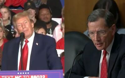 Trump makes key endorsement in Senate Republican leadership race