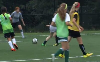 Gov’t report could lead to an infestation of federal regulation into youth sports, experts say