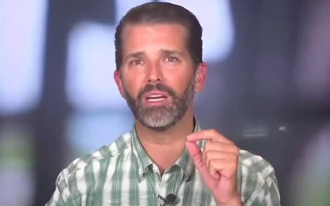 ‘The guy has real charisma’: Ex-CNN analyst speculates about whether Donald Trump Jr. will run for White House in 2028
