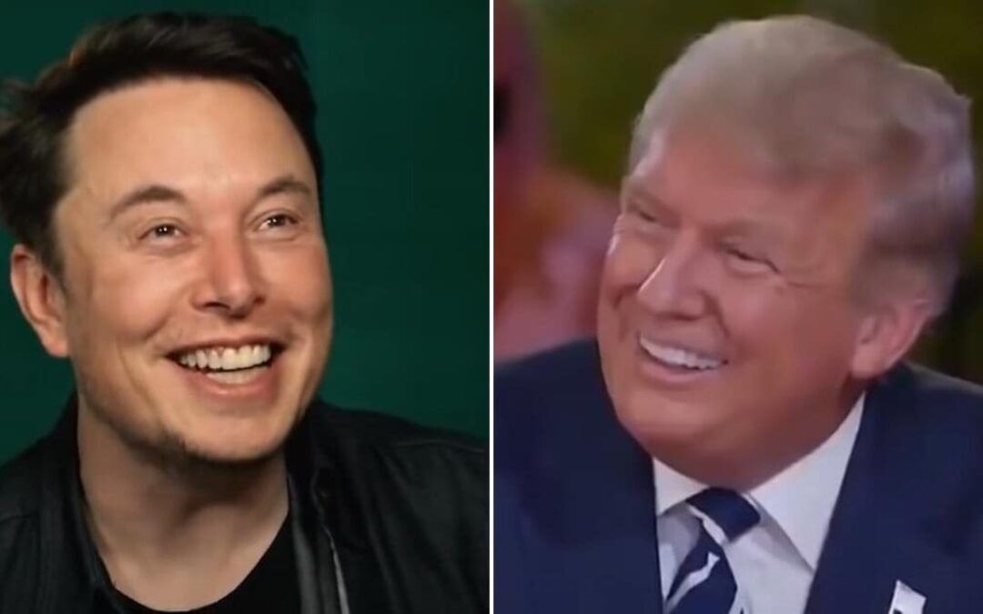 Trump sticks a fork in left’s sham ‘President Musk’ narrative