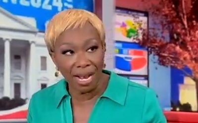 Joy Reid declares Republicans are voting on RACE, not economics. How will Joy explain this?