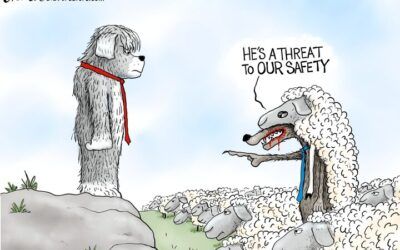 BS daily political cartoons: Arrest the ones who didn’t vote for me …