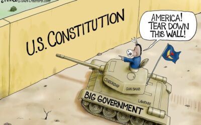 BS daily political cartoons: America! Tear down this wall!