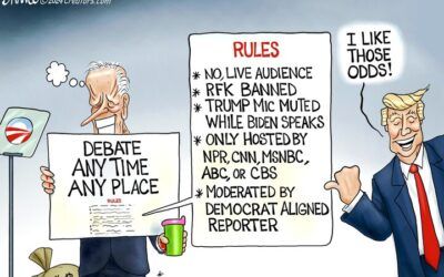 BS daily political cartoons: I like those odds!