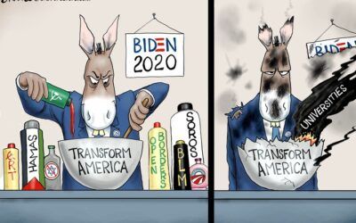 BS daily political cartoons: I smell charred donkey!
