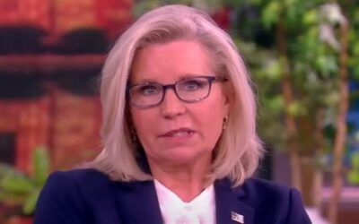Liz Cheney tries to give a lecture on morality and it and it goes very badly