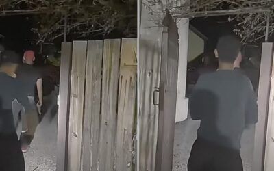 ‘This is not fake’: Two ‘beings’ using ‘cloaking device’ were real during alleged alien encounter, experts say