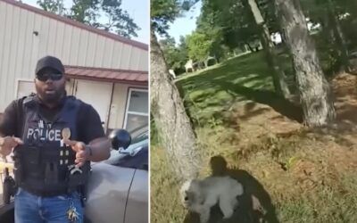 Mayor out after standing by Missouri cop who shot and killed deaf, blind 13-pound Shih Tzu