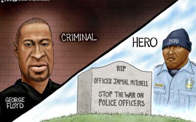 BS political cartoons of the week: Meanwhile, in the real world…