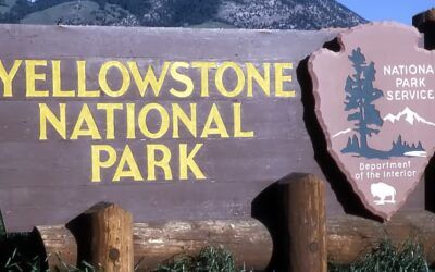 National Parks Service asks judge to dismiss suit over cashless policy for park entrance