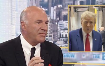 Shark Kevin O’Leary lays out his plans for ‘Americanizing TikTok’ and making it ‘wonderful again’