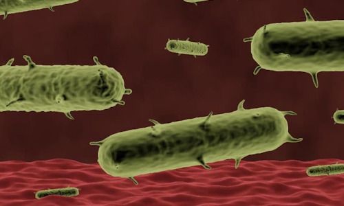 Labour's Surge Heralds A New Dawn For Britain