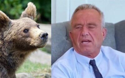 RFK Jr. fesses up to Rosanne Barr that he left dead bear’s carcass in Central Park