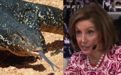 In a rare bit of honesty, Pelosi boasts that she’s ‘reptilian’ and ‘cold blooded’