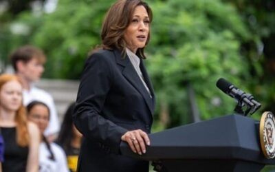Dems hope Harris dodges specifics, rides ‘wave of enthusiasm’ as long as possible
