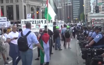 ‘It makes me doubt my party’: Former Clinton pollster calls out Dems for lacking ‘backbone’ to condemn DNC protests