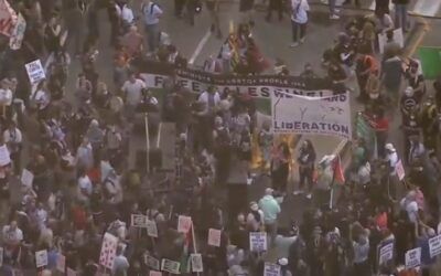 Thousands of protesters fill Chicago park calling for end to US aid to Israel