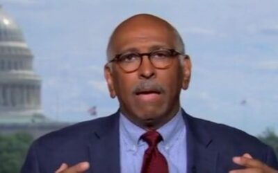 MSNBC analyst warns of ‘speed traps’ Kamala Harris’ campaign could face