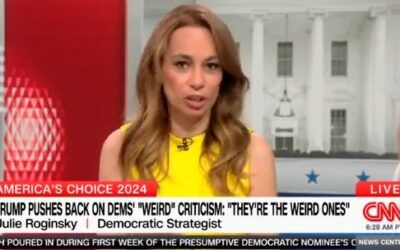 Dem strategist tells CNN host Harris will be ‘defining herself’ with ad spending so she doesn’t need to do interviews