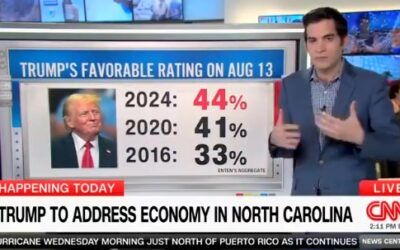 CNN’s Harry Enten warns Harris campaign Trump may be ‘tough to put away’ because of his popularity surge