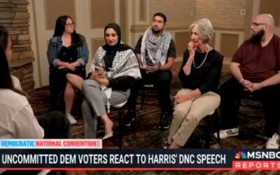 ‘Bombing our families with our money’: Uncommitted Dems unload on Harris over Israel-Hamas war after DNC speech