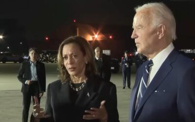Harris campaign hauls in $310 million for July