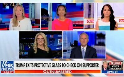 ‘An outright lie’: Kayleigh McEnany fires back at ex-Obama official after she accused Trump of dissing military